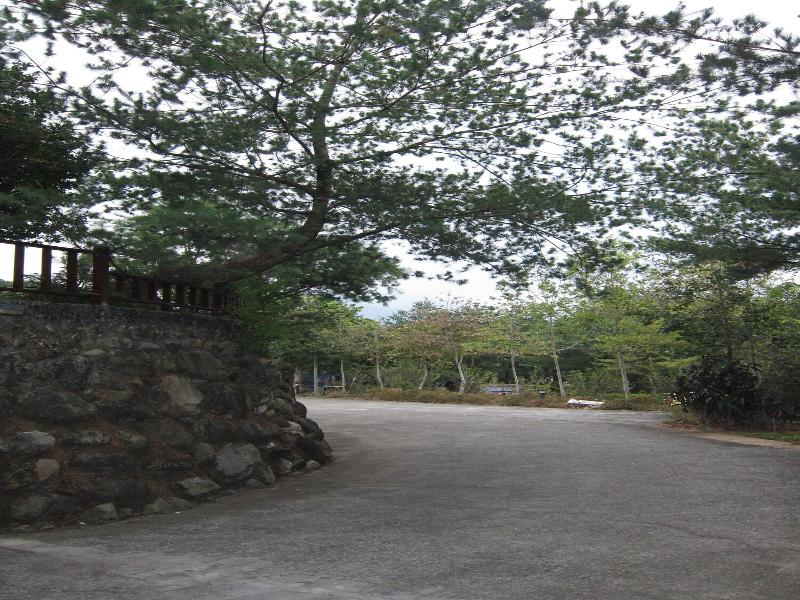 Zen And Pine Resort image