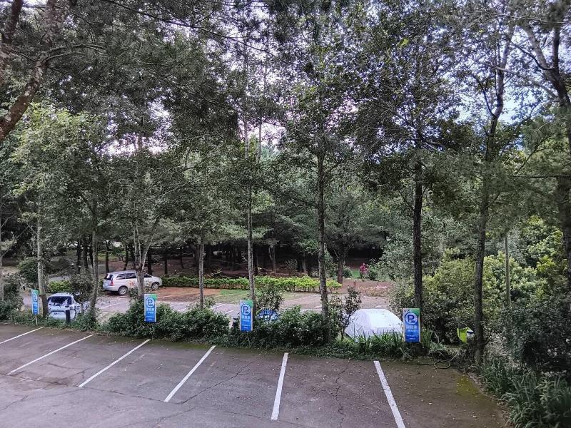 Zen And Pine Resort image