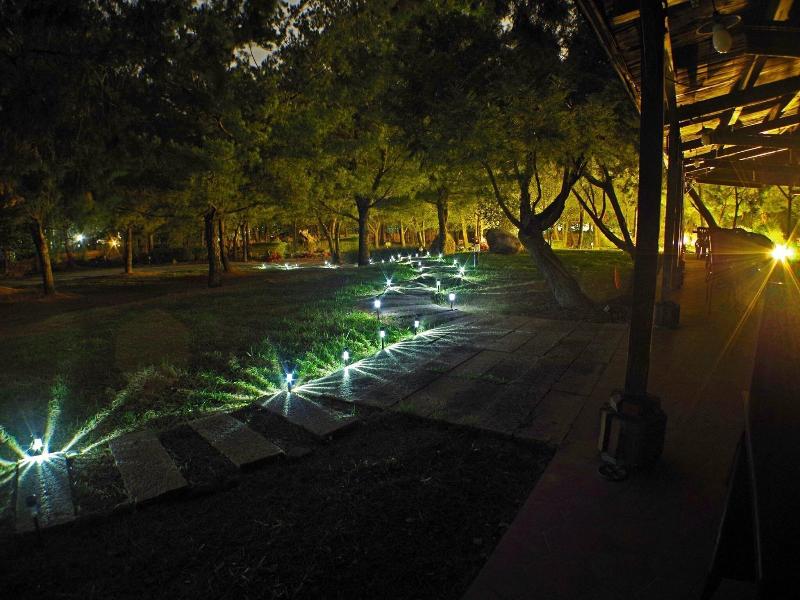 Zen And Pine Resort image