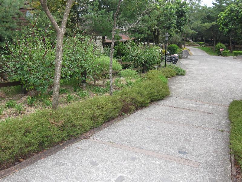 Zen And Pine Resort image