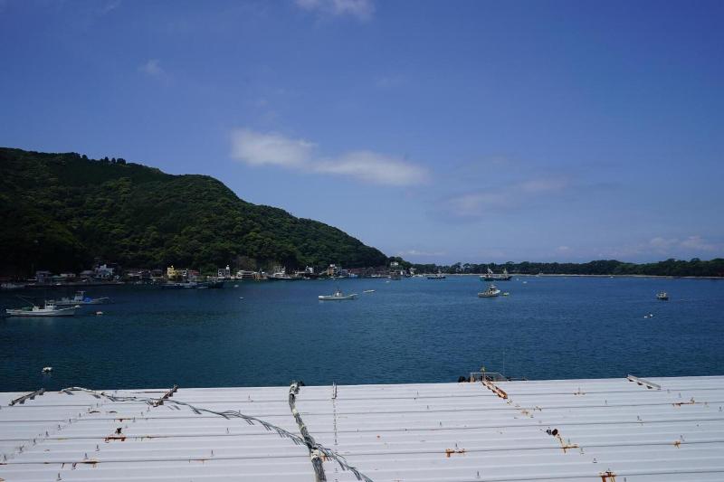 Tagore Harbor Hostel image