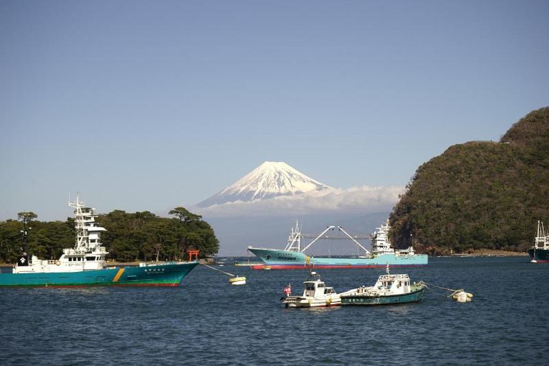 Tagore Harbor Hostel image