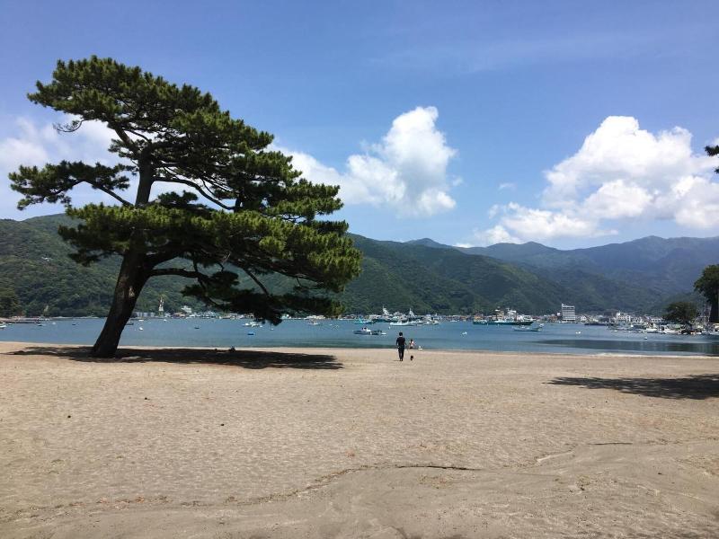 Tagore Harbor Hostel image