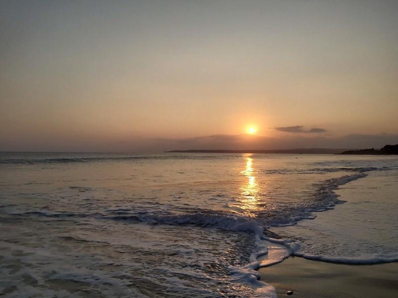 Sunshine Liv. image