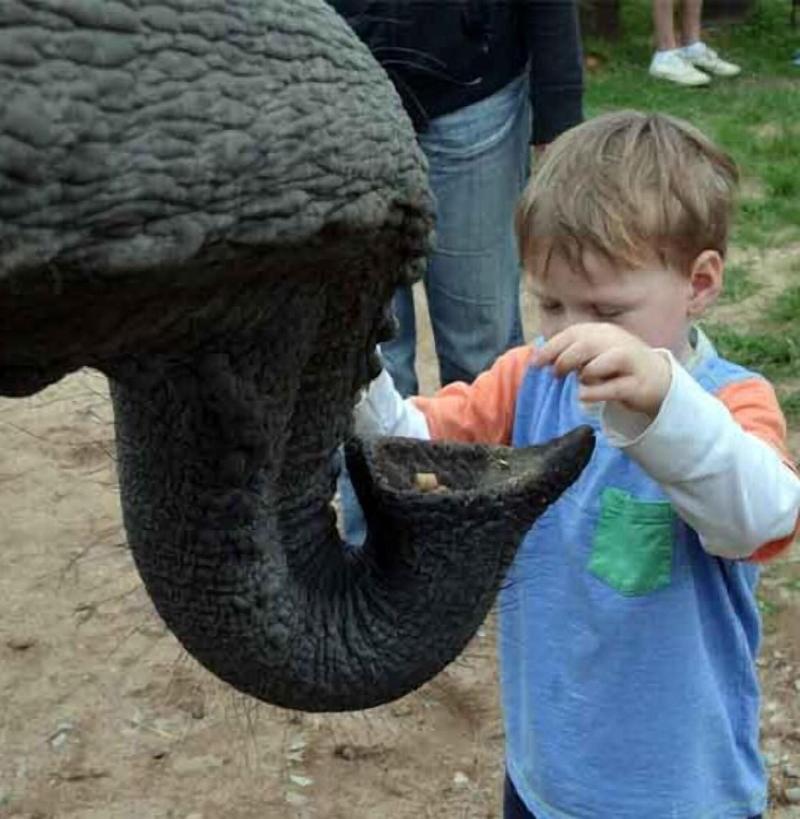 Elephant Country Guest House