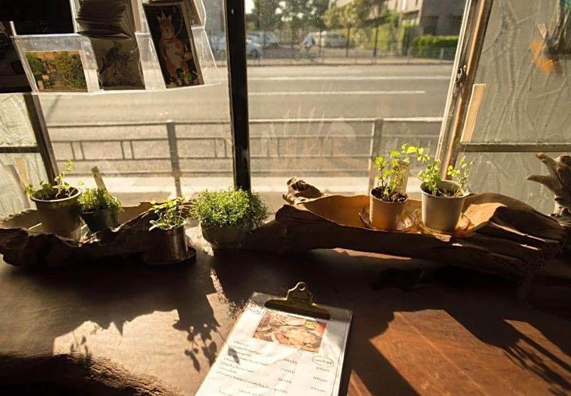 Air Osaka Hostel image