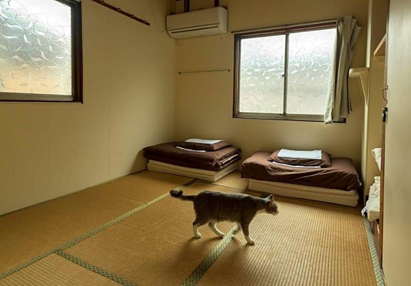 Air Osaka Hostel image