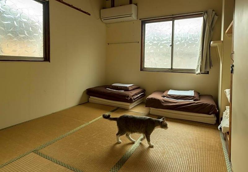 Air Osaka Hostel image