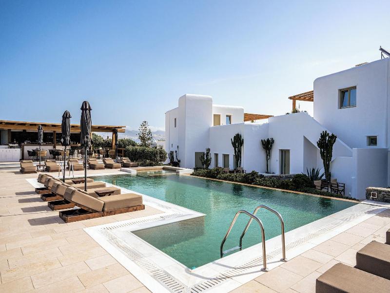 Mykonos Cactus image