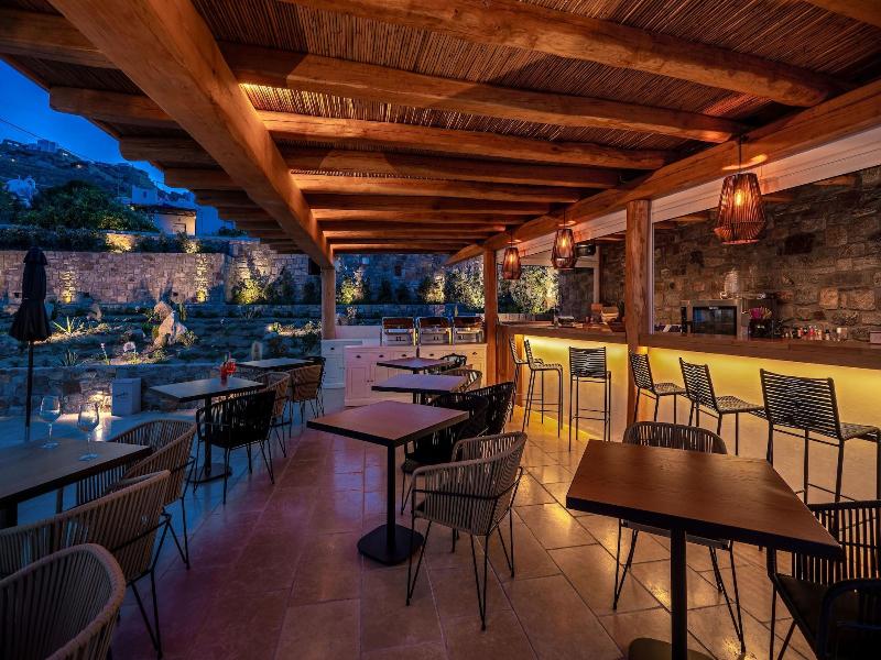 Mykonos Cactus image
