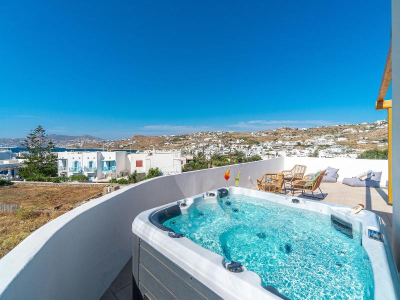 Mykonos Cactus image