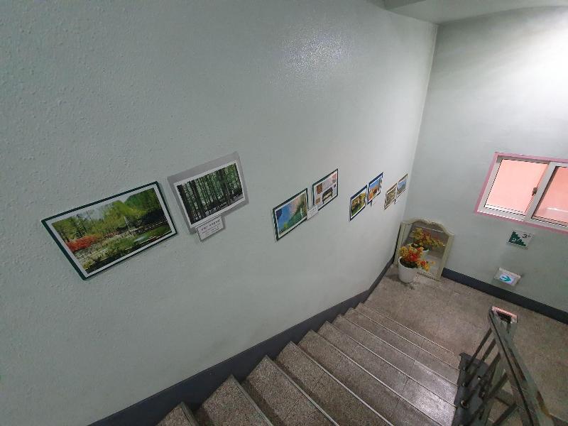 Daejeon Guesthouse Sky Garden - Hostel