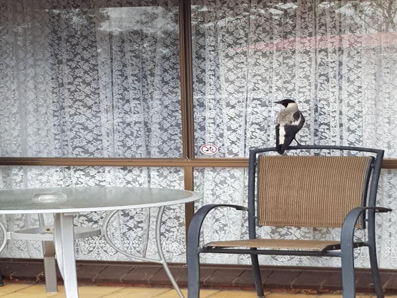 Warrnambool Motel And Holiday Park