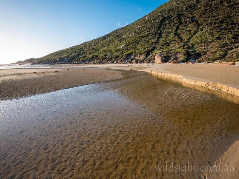Wilsons Promontory Motel image