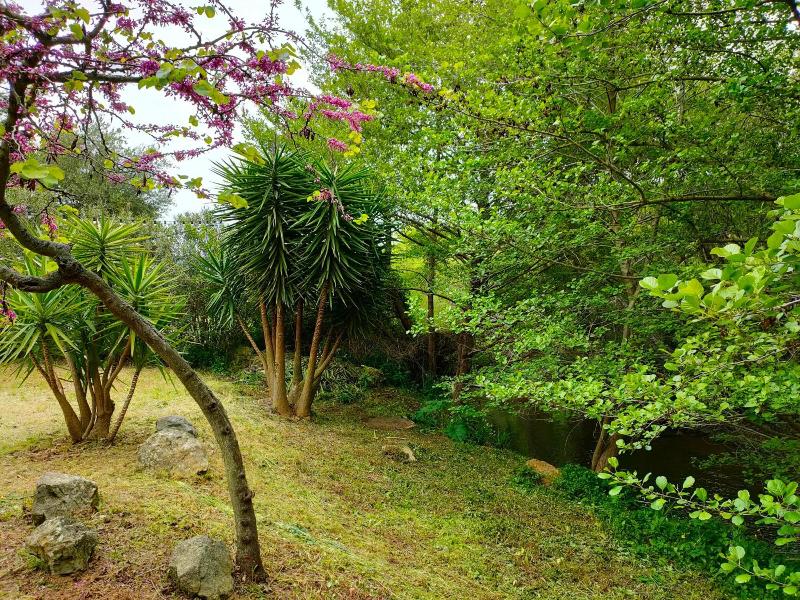 Auberge De Tesa image