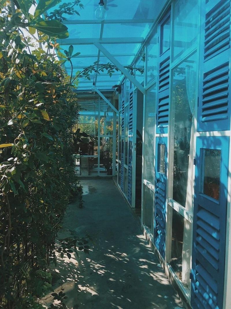 Lalaland Homestay - Hostel