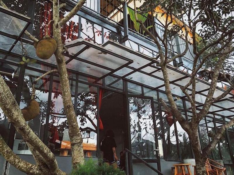 Lalaland Homestay - Hostel