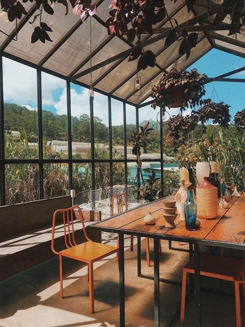 Lalaland Homestay - Hostel