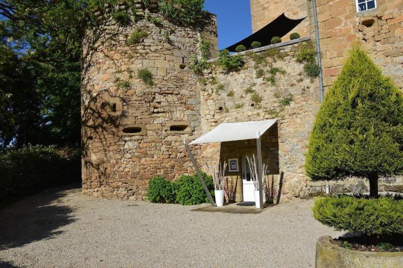 Chateau De Lissac image
