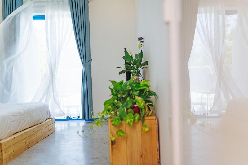 Santori Homestay Hoi An - Hostel image