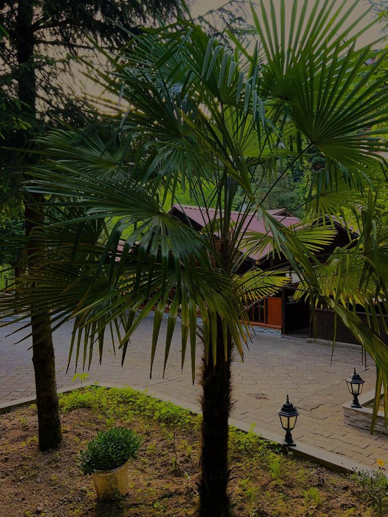 Isikli Kale Otel image