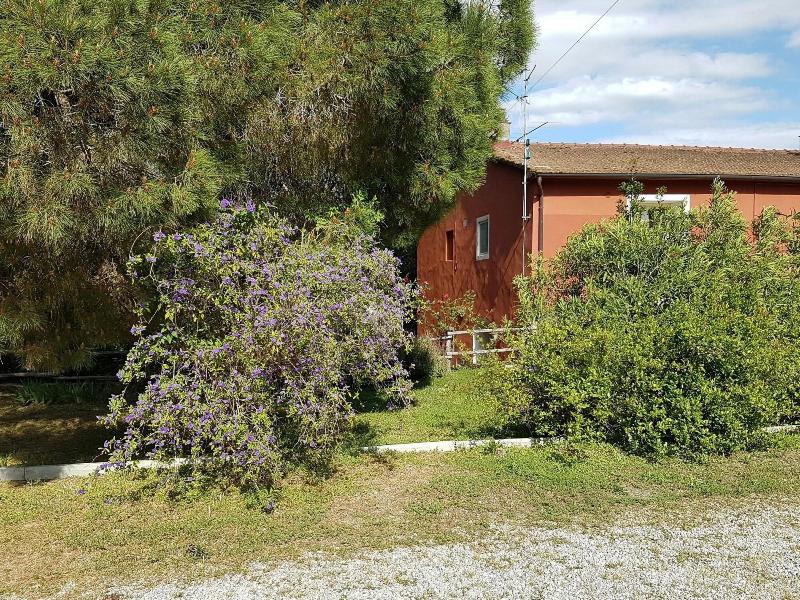 Tenuta Col Di Sasso image