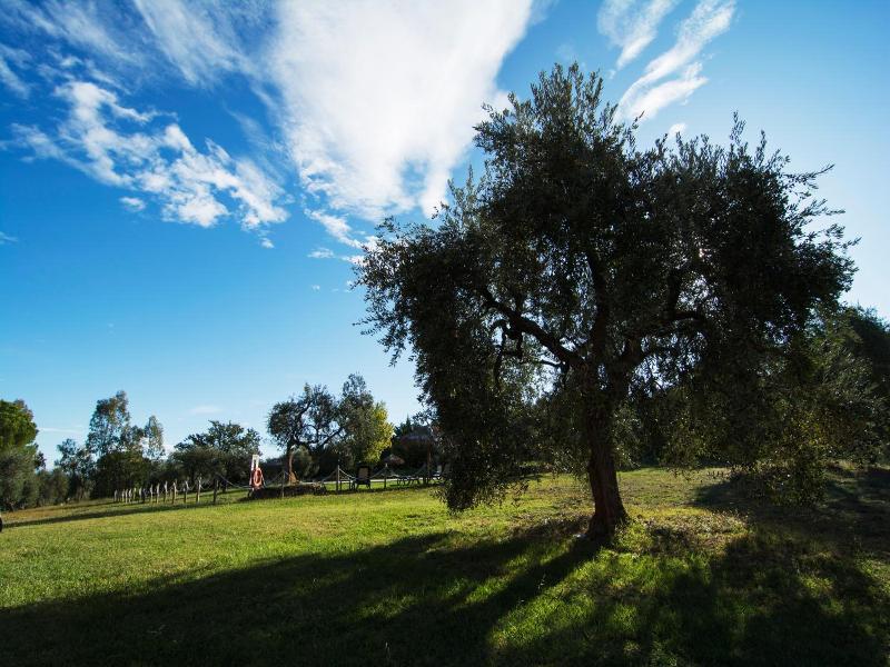 Tenuta Col Di Sasso image