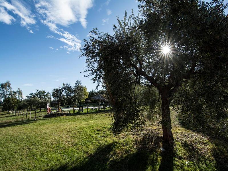 Tenuta Col Di Sasso image