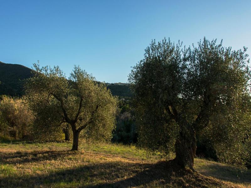 Tenuta Col Di Sasso image
