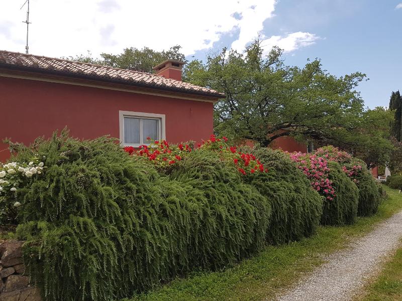 Tenuta Col Di Sasso image