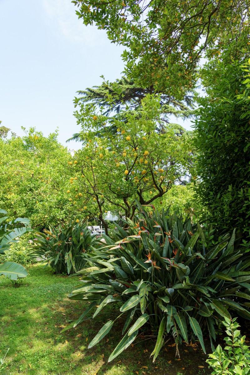 Villa Manning Relais image