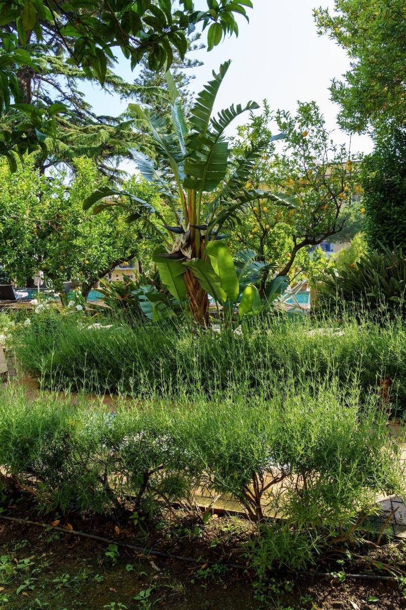 Villa Manning Relais image
