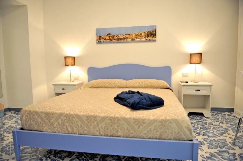 Il Leone Di Mare image