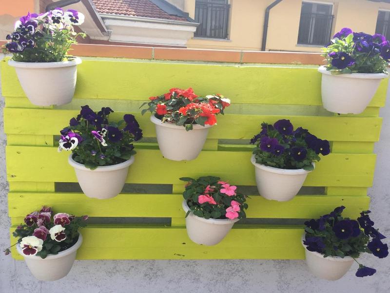 B&B La Terrazza image