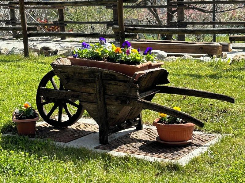 B&B Verger Plein Soleil image
