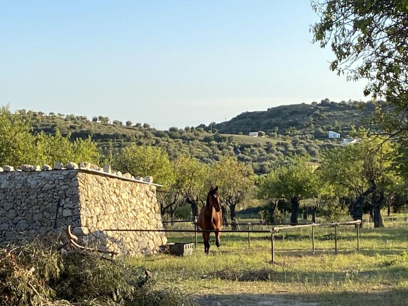 Masseria Usamborgia image
