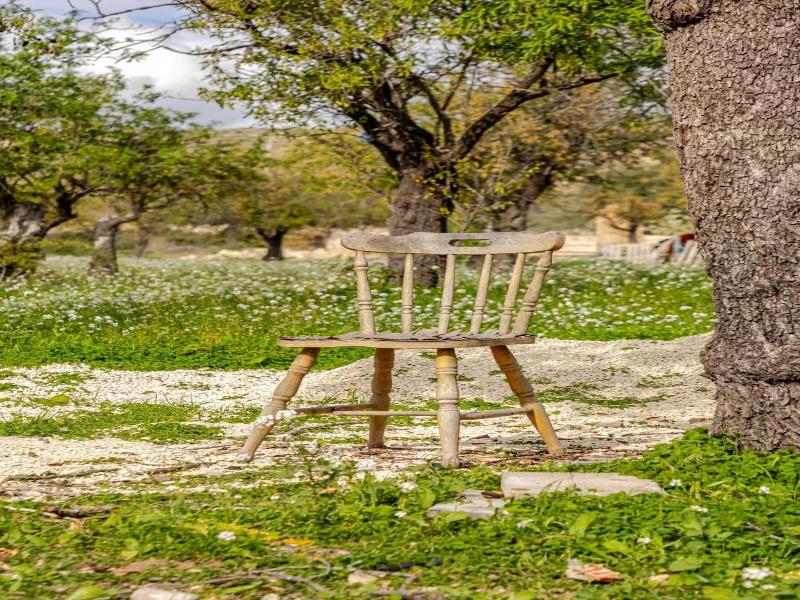 Masseria Usamborgia image