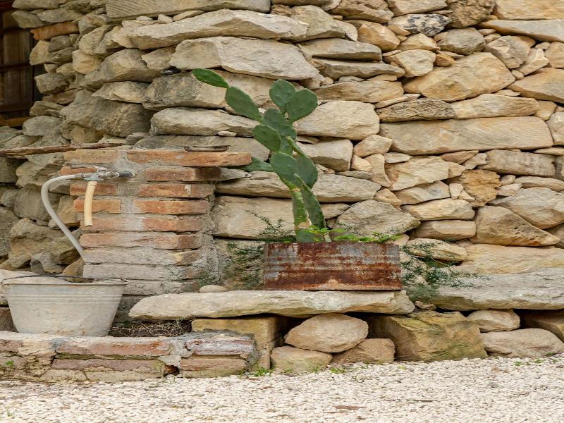 Masseria Usamborgia image