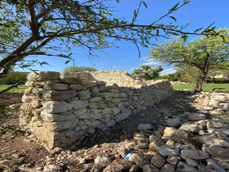 Masseria Usamborgia image