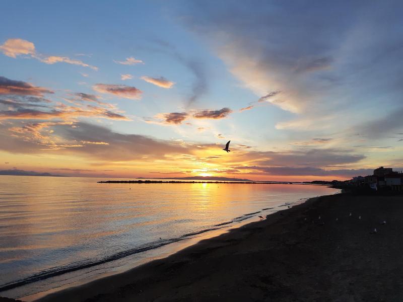 Acquamarina image