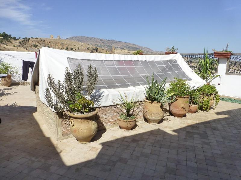 Dar Naima - Hostel image