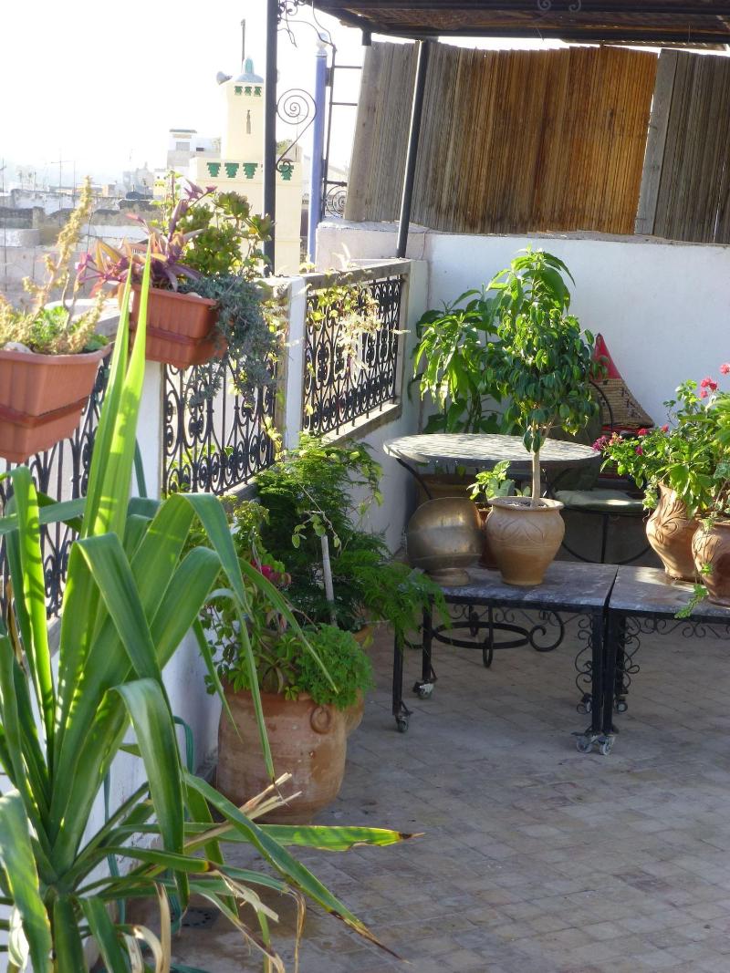 Dar Naima - Hostel image