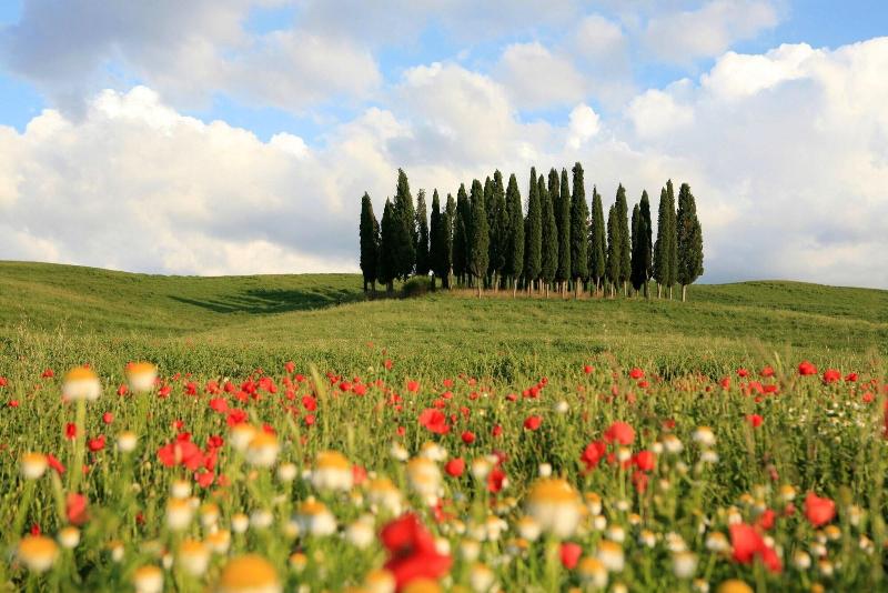 La Vittoria 10 - La Soglia della Val d'Orcia image