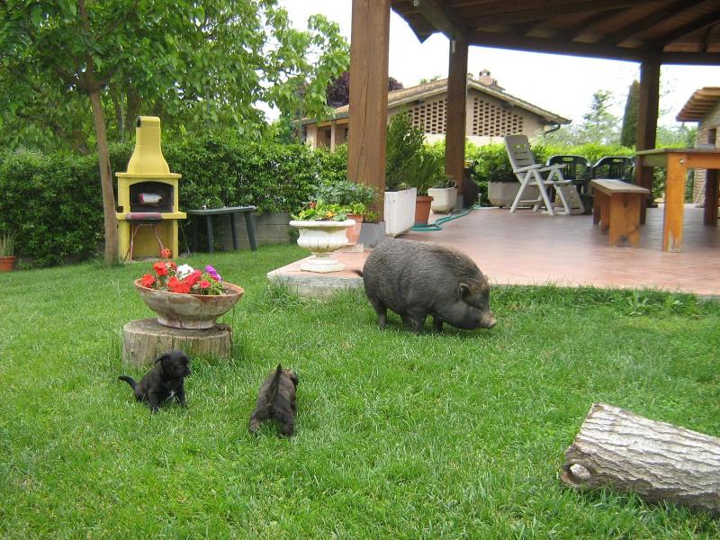 Il Poggio image