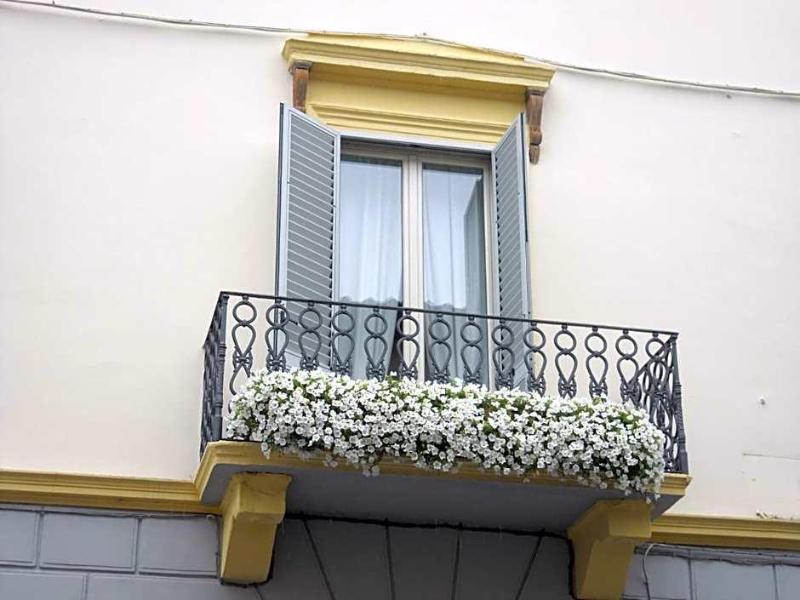Relais Inn Lucca image