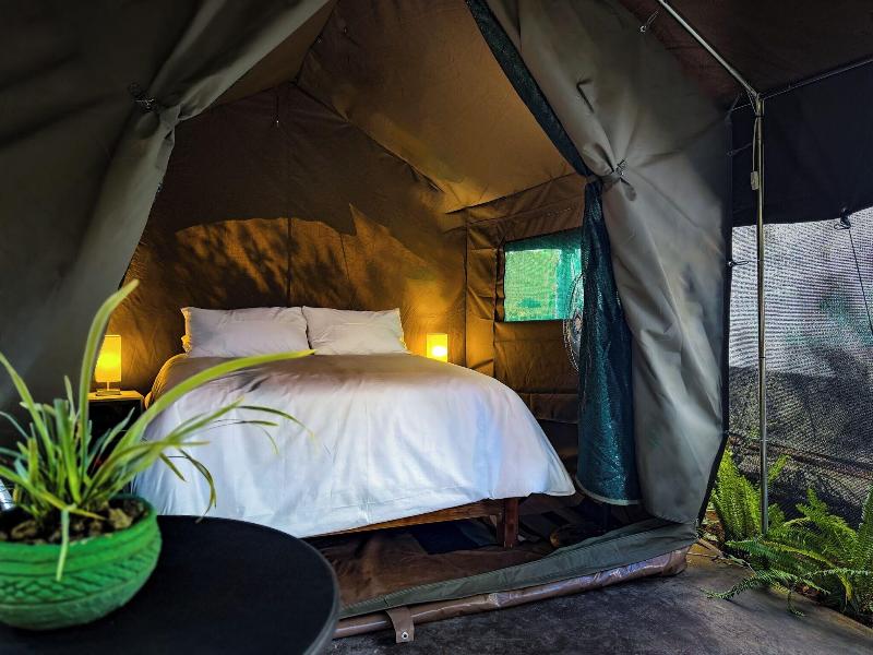 Victoria Falls Backpackers image