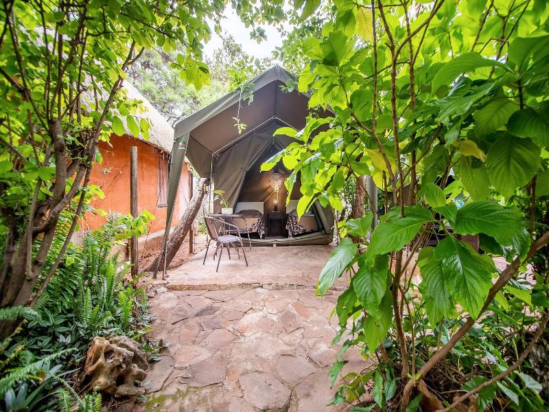 Victoria Falls Backpackers image