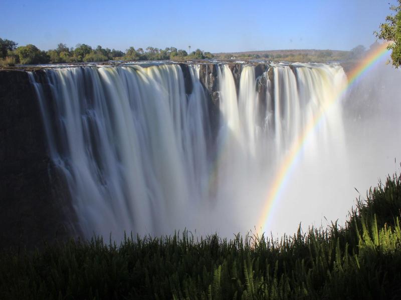Victoria Falls Backpackers image