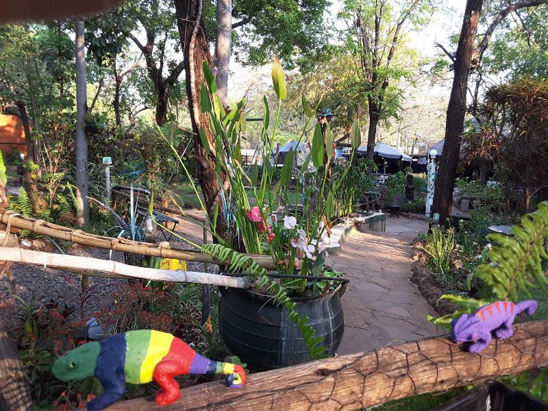 Victoria Falls Backpackers image