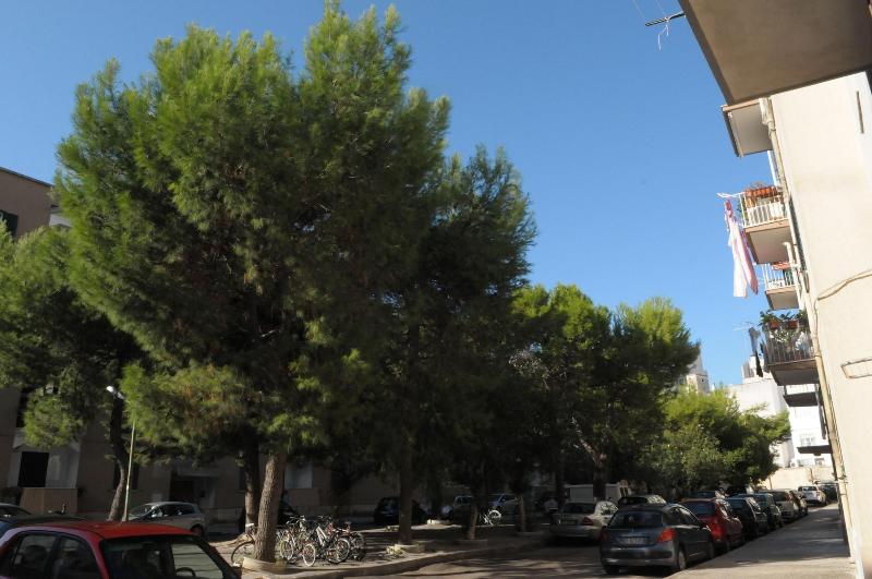 Della Torre Rooms image